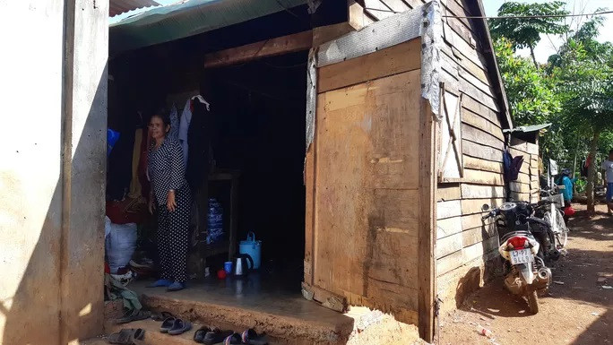 Khi chúng tôi tới, em Y H. Bkrông không có ở nhà mà đi chăn bò