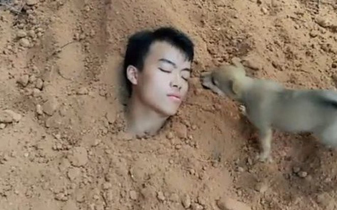 Tự đào hố chôn mình để 'thử lòng' chó cưng và cái kết rơi nước mắt Ảnh 2