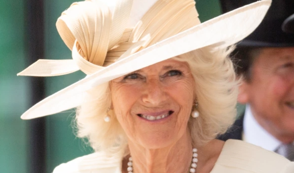 Công nương Diana và cuộc hẹn với tình địch: 'Tôi không muốn bị xem là kẻ ngốc' Ảnh 4