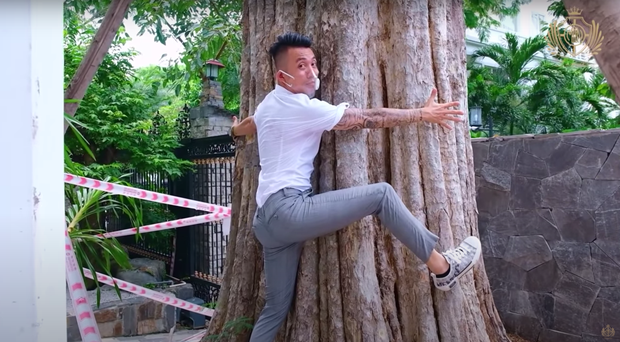 Cây cổ thụ khổng lồ của đại gia Minh Nhựa.