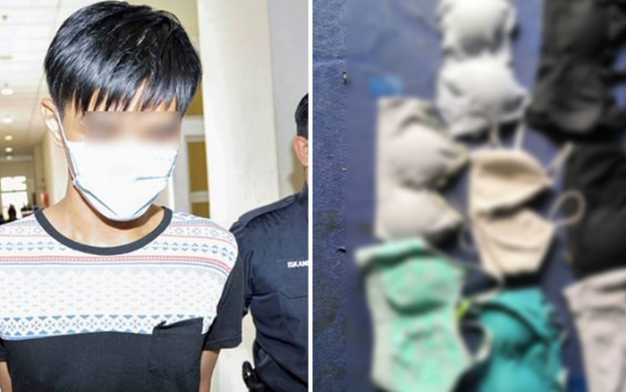 Nam thanh niên bị bắt vì tàng trữ nhiều đồ lót của phụ nữ Ảnh 2