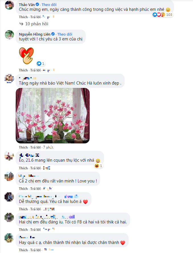 Bình luận dưới bài đăng của bà xã nghệ sĩ Công Lý.