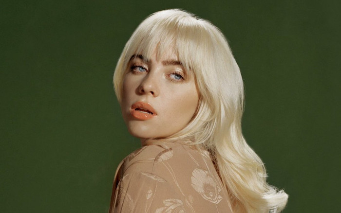 Bị chê nhạc 'một màu', Billie Eilish đáp trả như thế nào? Ảnh 2