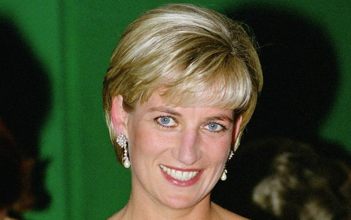 Cuộc gọi cuối cùng của Công nương Diana Ảnh 2