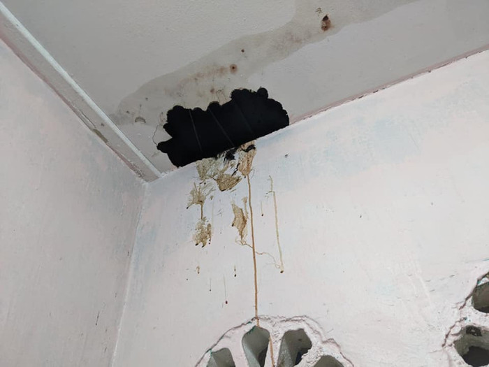 Tưởng rỉ sét chảy xuống trần nhà, người đàn ông đi xem thì khiếp hãi phát hiện sự thật Ảnh 3