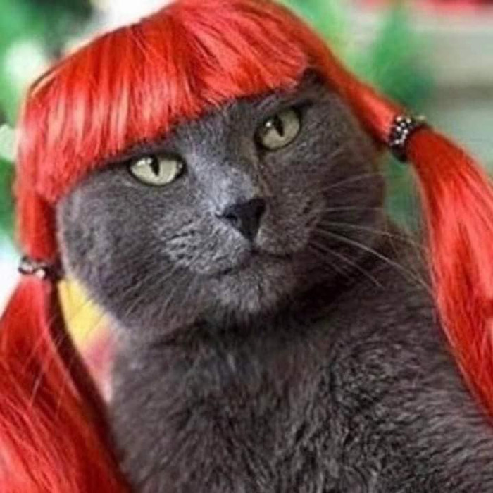 Danh xưng 'mầm non giải trí' gọi tên NingNing (aespa) với loạt pha tấu hài đậm chất gen Z Ảnh 5