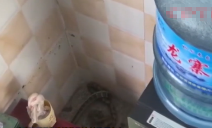 Con rắn dài hơn 1m khiến gia đình chị Châu không dám vào nhà.