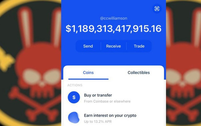 Đầu tư 20 USD vào 'coin rác', sở hữu 1.400 tỷ USD sau một đêm Ảnh 2