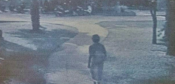 Hình ảnh CCTV cuối cùng của Elise Dallemagne.