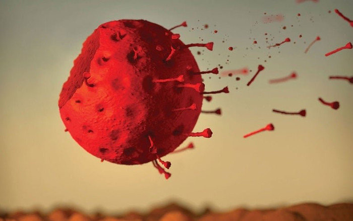 Virus gây Covid-19 biến mất hay tồn tại nhiều thập kỷ với con người? Ảnh 2