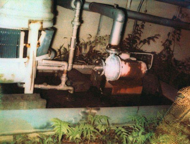 83 ngày 'sống không bằng chết' vì nhiễm phóng xạ của người đàn ông Nhật Bản Ảnh 5