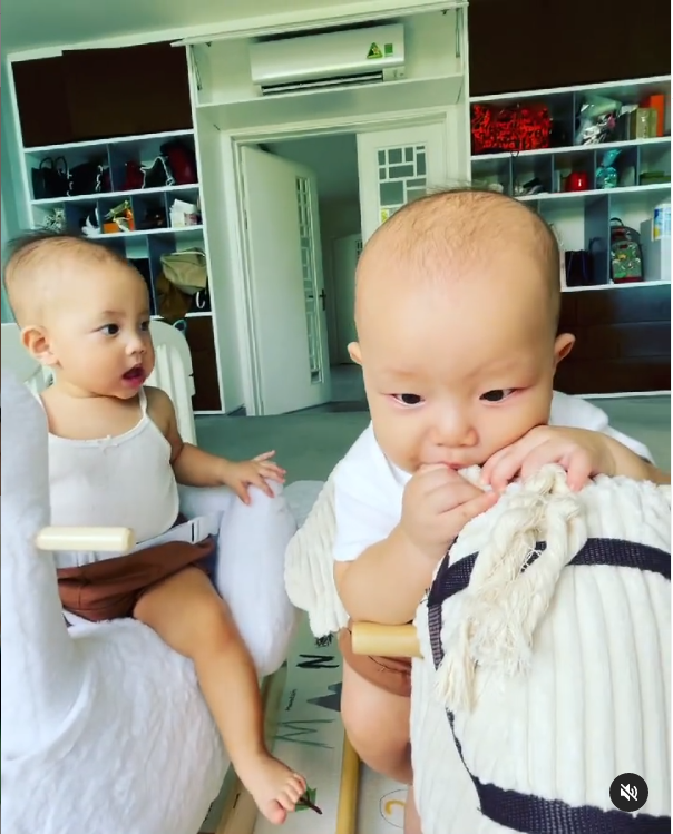 Không cần biết ngựa gỗ là gì, cu cậu chỉ cần 'nếm thử' xem ăn được không mà thôi.