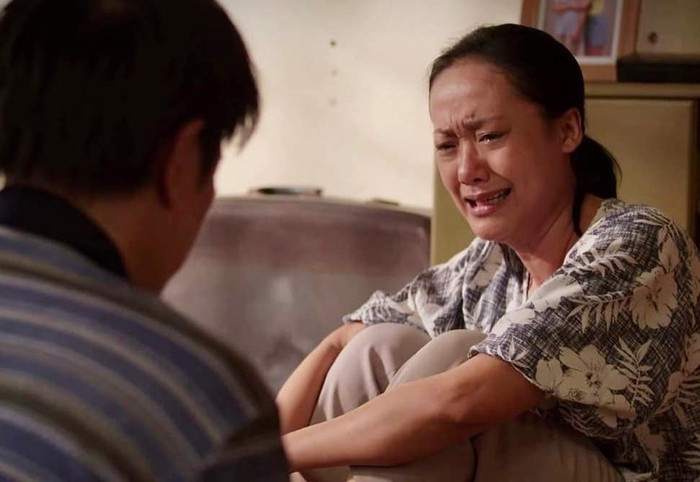Hồng Ánh được biết đến là một nữ diễn viên giàu thực lực và kinh nghiệm diễn xuất của làng phim Việt. Cô ghi dấu ấn với khán giả qua nhiều vai diễn trong các phim như Cầu Thang Tối, Người Đẹp Tây Đô, Tiệc Trăng Máu,... Gần đây, nữ diễn viên đang trở lại màn ảnh nhỏ với vai Hạnh qua bộ phim truyền hình ăn khách Cây Táo Nở Hoa.
