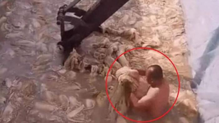 Hình ảnh người đàn ông cởi trần ngồi trong bể cải bắp đục ngầu. Ảnh: Korea Times