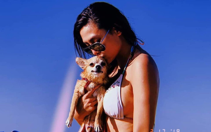 Từ Mỹ, Võ Hoàng Yến đau khổ khi nhận tin 'con trai' qua đời Ảnh 2