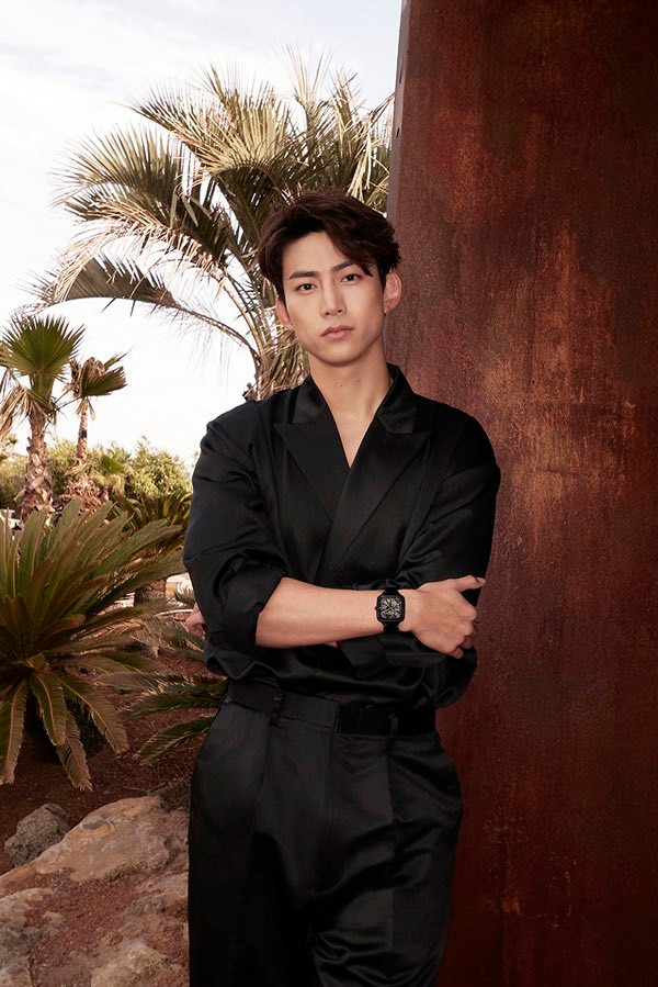 Hình ảnh quảng bá cùng album Must chung với 2PM.