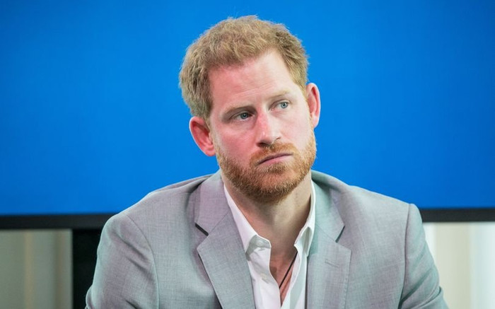 Harry đang cạnh tranh với cha và anh trai để 'giống Diana hơn' Ảnh 2