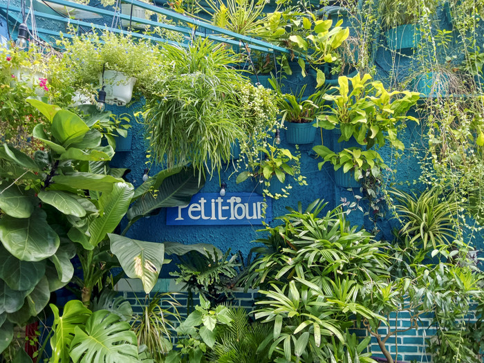 Trải nghiệm OPPO A54 6GB RAM: Bản nâng cấp đáng giá! Ảnh 5