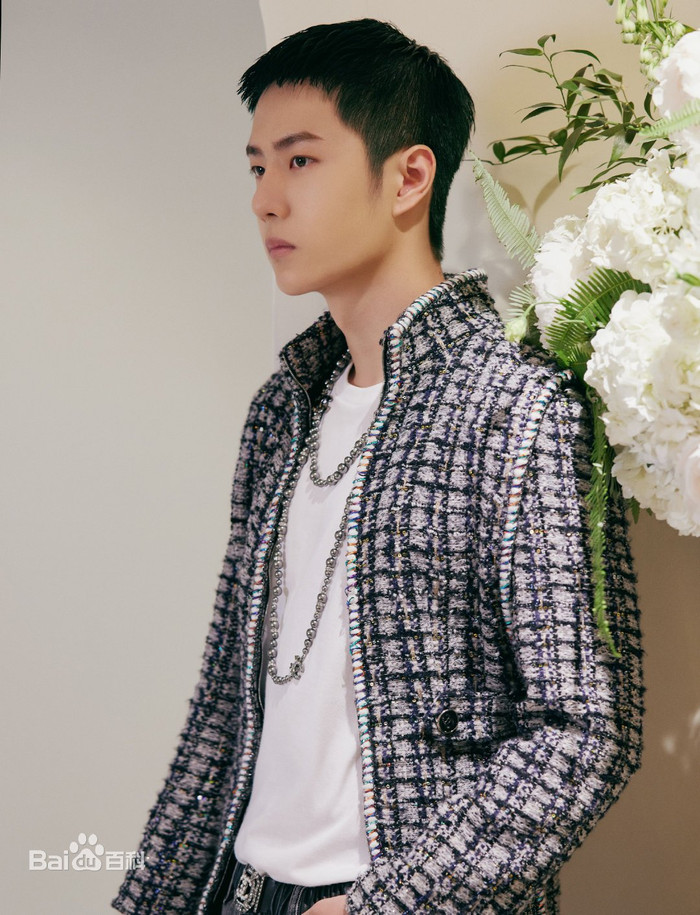 BXH giá trị thương mại của minh tinh Hoa ngữ cuối tháng 6: Tiêu Chiến tiếp tục dẫn đầu Ảnh 4