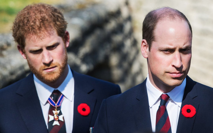 Hoàng tử Harry không còn được Hoàng gia Anh tin tưởng Ảnh 2