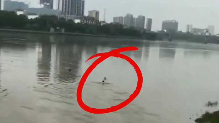 Anh Lưu lao xuống dòng sông cứu bé trai vào bờ.