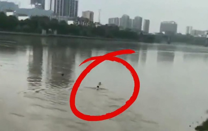 Nhảy xuống sông cứu trẻ đuối nước, người đàn ông bị đám đông vây lại không cho đi, cái kết gây bất ngờ Ảnh 2