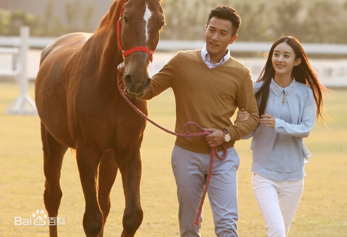 9 diễn viên có phim truyền hình phá rating 1%: Ấy thế mà Triệu Lệ Dĩnh lại thua Dương Mịch Ảnh 11