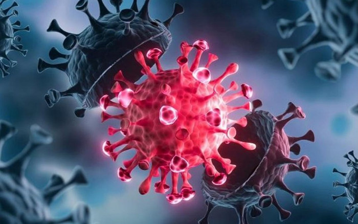 Sự nguy hiểm của các biến thể của virus corona, nhiều chủng có nguy cơ kháng vaccine ra sao? Ảnh 2