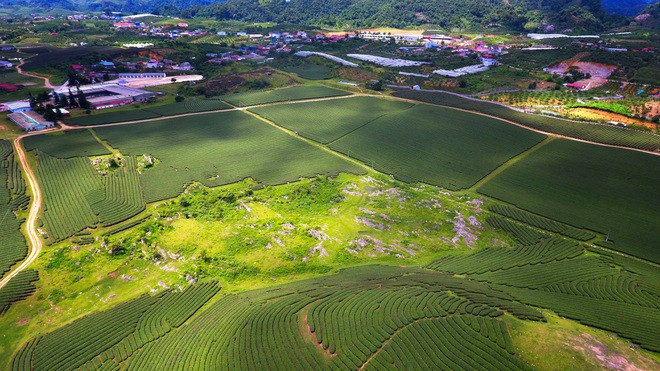 Khung cảnh trữ tình, nên thơ, ẩn nấp sau những áng mây trôi tại đồi chè thị trấn Nông trường Mộc Châu.
