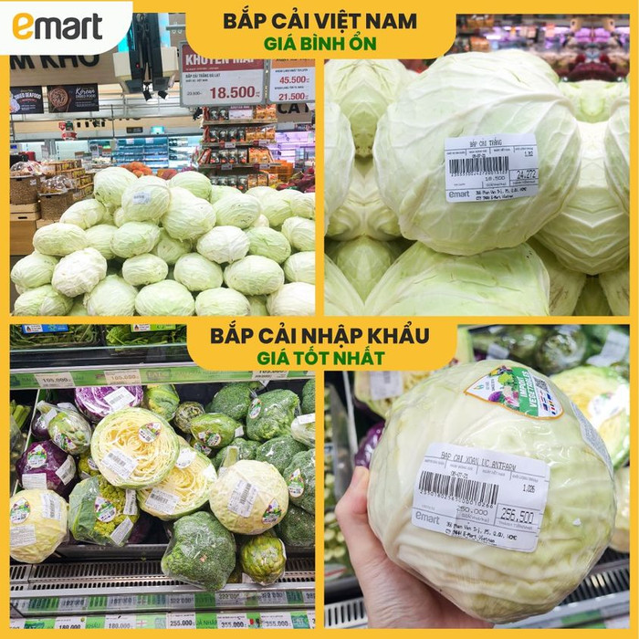 Thực hư thông tin siêu thị bán bắp cải giá 'cắt cổ' 250.000 đồng/kg giữa mùa dịch COVID-19 Ảnh 3