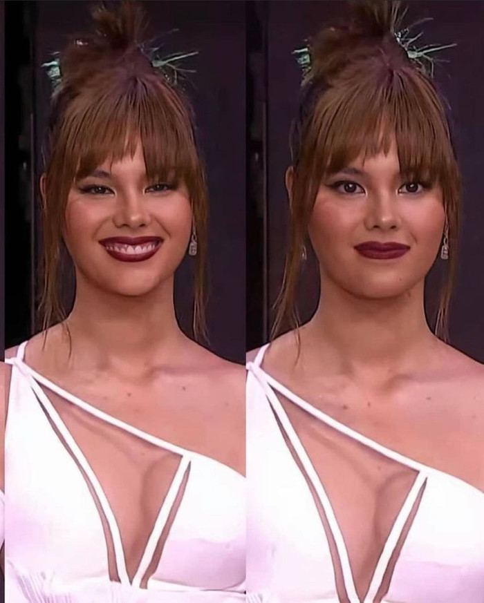 Điều gì đã xảy ra với Mèo Xám thế này???