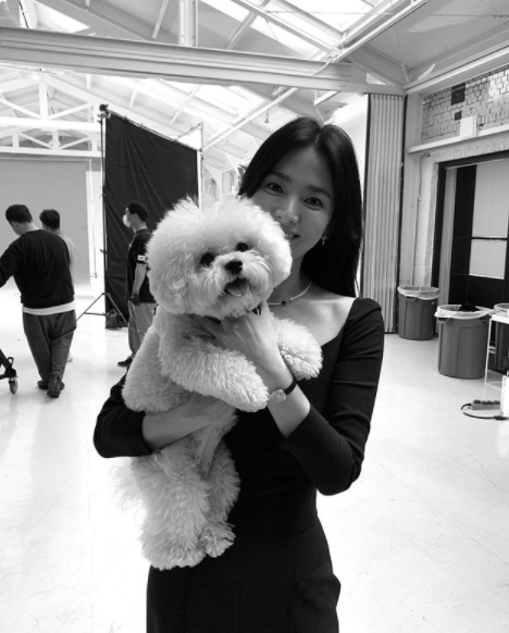 Chú cún con luôn đồng hành cùng nữ diễn viên mọi lúc mọi nơi
