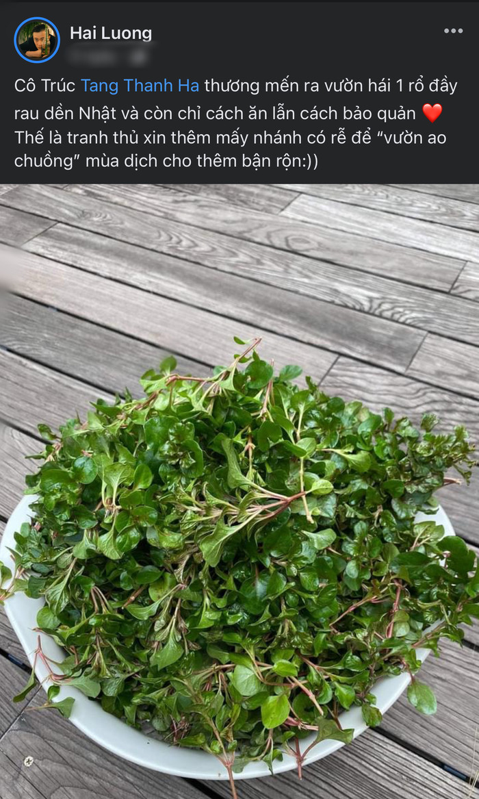 Lương Mạnh Hải tiết lộ mối quan hệ hiện tại với Tăng Thanh Hà sau 13 năm đóng chung 'Bỗng dưng muốn khóc' Ảnh 5