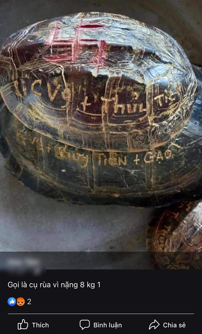 Hình ảnh khắc tên trên mai rùa trước đó.