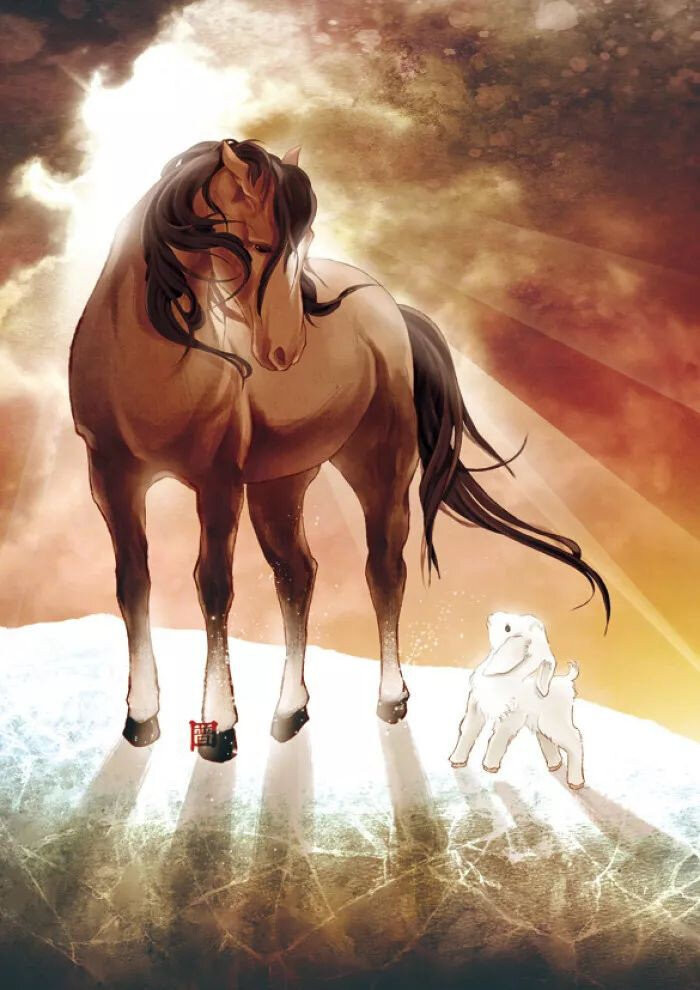 Tử vi thứ 4 ngày 14/7/2021 của 12 con giáp: Mão được quý nhân chỉ lối, Ngọ nhận 'mưa' lời khen Ảnh 6