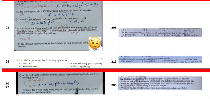 Bị 'tố' ra câu hỏi ôn tập môn Sinh giống đề chính thức thi tốt nghiệp THPT đến 80%, thầy giáo lên tiếng? Ảnh 4