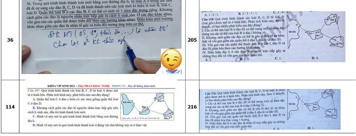 Thầy H. chỉ ra những câu hỏi trong đề thi ôn tập và đề thi chính thức môn Sinh có sự giống nhau