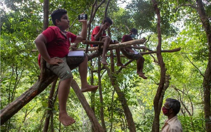 Những giờ học online vì Covid-19 của học sinh vùng hẻo lánh: Đi bộ 3km, leo lên cây bắt sóng Internet Ảnh 2