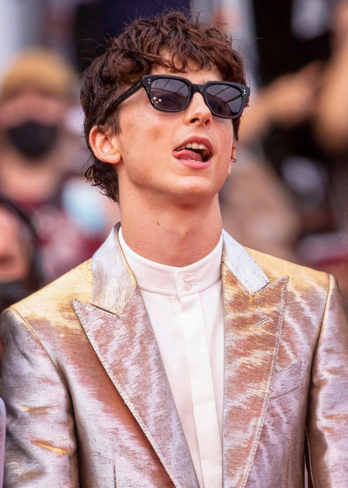Chàng thơ Timothée Chalamet tỏa sáng chiếm trọn spotlight trên thảm đỏ Cannes 2021 Ảnh 16