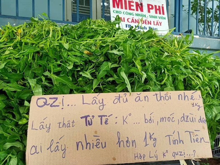 Anh bán rau 'chất nhất mùa cô vy' bị chửi ngu, gây 'bão mạng' với phát ngôn 'đỉnh của chóp' Ảnh 15