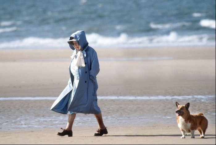Một ngày tháng 7/1982, Nữ hoàng được nhìn thấy đang đi dạo với chú chó corgi trên bãi biển ở Norfolk.