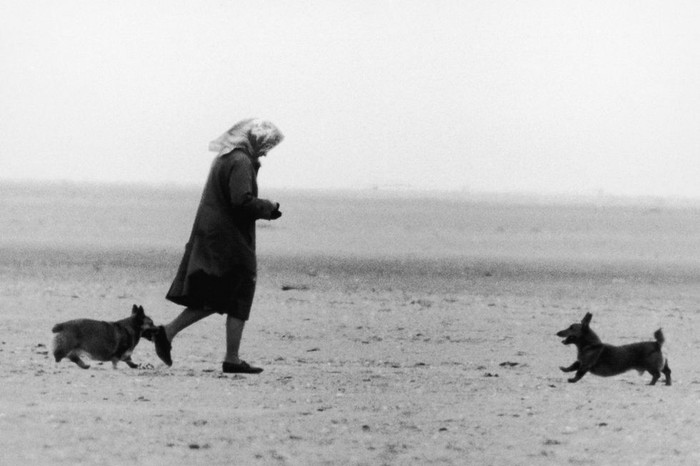 Ngay cả khi đang chơi đùa với những chú chó corgis tại bãi biển gần Sandringham, Nữ hoàng vẫn mặc áo khoác dài và chiếc khăn trùm đầu kín đáo.