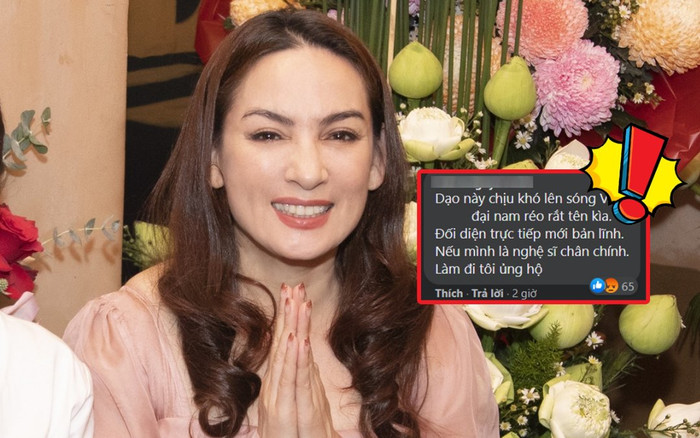 Tích cực hoạt động sau loạt lùm xùm nhưng vẫn bị mỉa mai, Phi Nhung lựa chọn đáp trả khôn khéo Ảnh 2