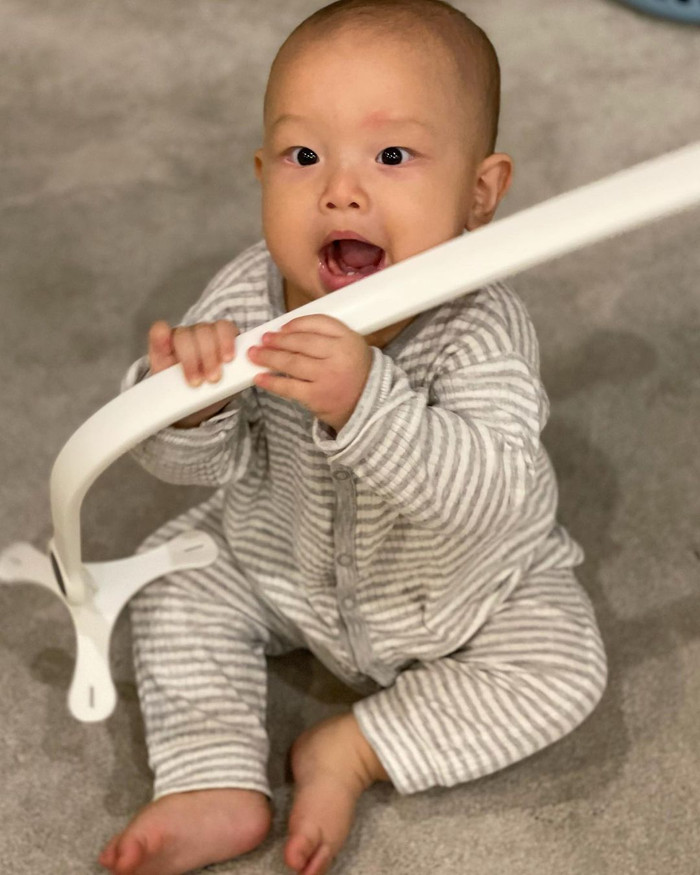 Đang định dùng những chiếc răng mới nhú 'nếm thử' món đồ chơi thì chợt phát hiện mình đang được chụp hình nên dừng lại.