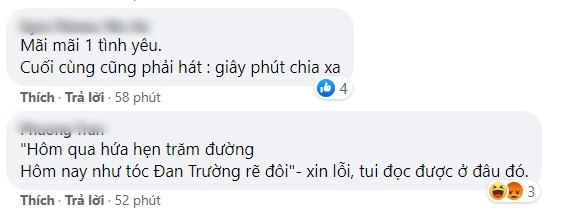Phản ứng của netizen trước tin Đan Trường ly hôn: Cuối cùng tình yêu không thắng được khoảng cách địa lý Ảnh 11