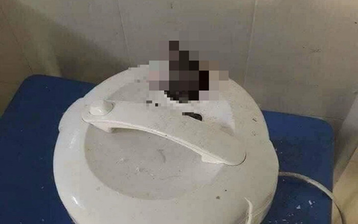 Không rửa nồi cơm điện trước khi về quê, nam sinh tá hỏa khi phát hiện cảnh tượng này Ảnh 2