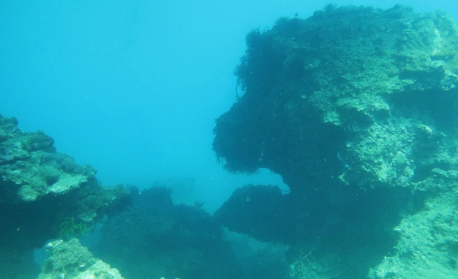 Những rạn san hô còn tạo ra những hình thù độc đáo.