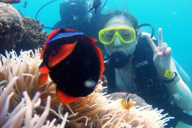 Nếu không bị ảnh hưởng của dịch Covid-19, mùa này du khách đổ xô về Nhơn Lý để tắm biển và lặn ngắm san hô (Ảnh: Hữu Đảo - thành viên Tổ cộng đồng bảo vệ nguồn lợi thủy sản xã Nhơn Lý).