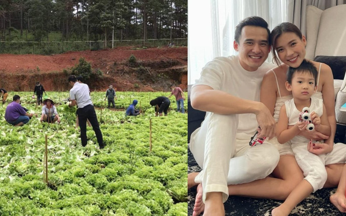 Thúy Diễm - Lương Thế Thành 'mừng rớt nước mắt', quyên góp 20 tấn lương thực cho bà con Sài Gòn Ảnh 2