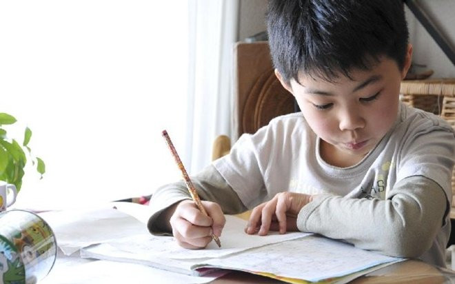 Bài văn tả cái cây của bé học sinh khiến dân tình cười ngất: 'Cây này thì có ai mà không thích?' Ảnh 2